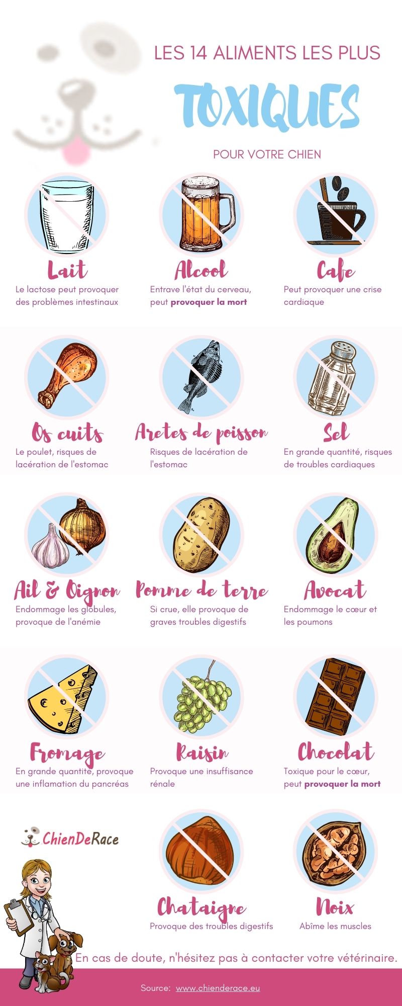 Attention ! Ses aliments sont dangereux pour votre chien
